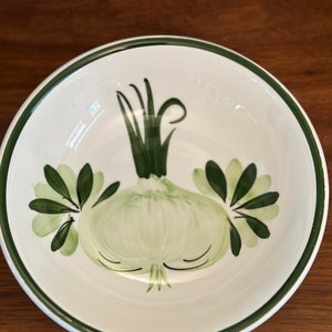 Zrike of Italy Hand Painted Bowl 8” Onion