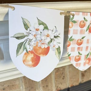 Handmade and Shipped- Little Cutie themed Baby Shower Banner- Oranges Banner- Baby Shower Decorations