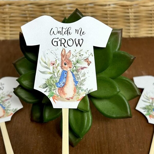 Peter Rabbit Tags - Etsy