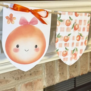 Handmade and Shipped- Little Cutie Baby Shower Banner- Baby Girl Baby Shower