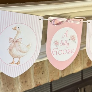 Handmade and Shipped- Baby Shower Decor- Silly Goose Banner- Baby Girl
