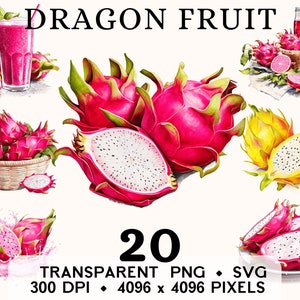 Clipart fruits du dragon, fruits aquarelle pitaya jaune clip art, cuisine exotique autocollant design tasse et chemise, téléchargement numérique, imprimable PNG SVG