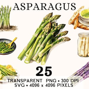 Clipart asperges, herbe verte légume moineau aquarelle Clip, nourriture autocollant Mug et chemise, téléchargement numérique imprimable PNG SVG