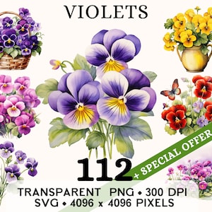 Violet clipart, viooltje altviool geboorte bloem aquarel illustraties, lente bloemen sticker mok en shirt design, afdrukbare digitale download png SVG