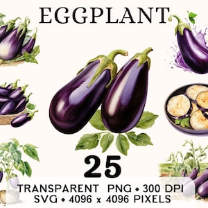Clipart aubergine, violet ferme légumes aquarelle doux clip, nourriture autocollant Mug et chemise Design, téléchargement numérique imprimable PNG & SVG