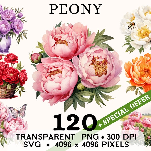Peony Clipart, Cute Wedding Flower Watercolor Clip Art, Floral Sticker Mug and Shirt Design, Digital Download, Printable PNG & SVG