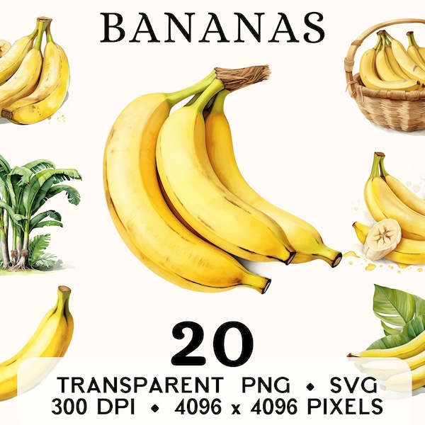 Banana Clipart, Fruit Watercolor Banana Tree Clip Art, Food Sticker Mug and Shirt Design, Digital Download, Printable PNG & SVG