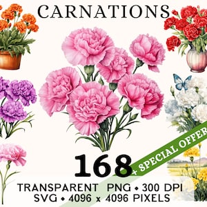 Clipart oeillet, mariage mignon fleur de printemps aquarelle Clip Art, conception de tasse et chemise autocollant floral, téléchargement numérique imprimable PNG & SVG