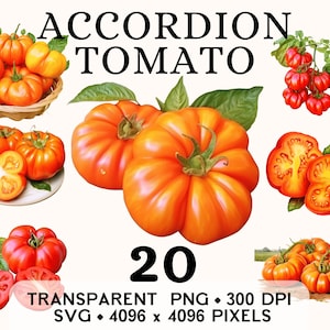Clipart tomate accordéon, clipart santé aquarelle légume rouge, conception de tasse et chemise autocollant autocollant, téléchargement numérique PNG imprimable