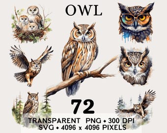 Forêt des cliparts hibou, hibou duc aquarelle aquarelle des bois sauvages, clipart animaux, tasse et chemise, téléchargement numérique imprimable en téléchargement PNG SVG