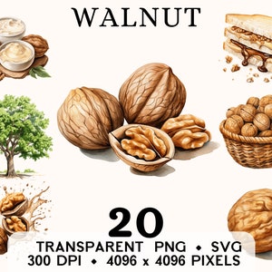 Clipart di noci, ClipArt di noci di acquerello di frutta, design di tazza e camicia di adesivi per alimenti per semi, download digitale, PNG stampabile e SVG