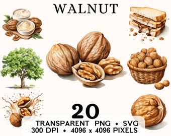 Walnut Clipart, Fruit Watercolor Nut Clip Art, Seed Food Sticker Mug and Shirt Design, Digital Download, Printable PNG & SVG