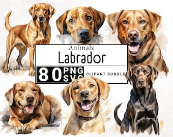 Labrador Dog Portrait Watercolor, Puppy Clip Art, Pet Clipart Bundle, Lab Retriever, Commercial use, Digital Download, 4K PNG & SVG