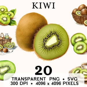 Kiwi Clipart, fruta acuarela Kiwi Basket Clip Art, taza de pegatina de comida exótica y diseño de camisa, descarga digital, PNG & SVG imprimible