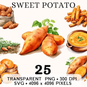 Süßkartoffel Clipart, Bauernhof Gemüse Aquarell Pommes & Suppe Clip Art, Essen Aufkleber Becher und Shirt Design, druckbare digitale Download PNG SVG