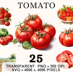 Clipart tomate, ferme rouge légumes aquarelle boisson santé Clip Art, conception de tasse et chemise autocollant autocollant, téléchargement numérique, PNG SVG imprimable