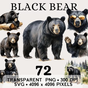 May include: A collection of watercolor illustrations of black bears in various poses. The image includes a bear wearing sunglasses, a bear cub, and a bear waving. Text at the top reads "BLACK BEAR" and "72" in the center.