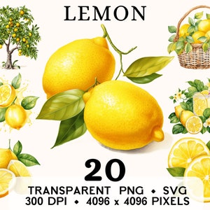 Citroen clipart, fruit aquarel limonade illustraties, exotisch eten sticker mok en shirt ontwerp, digitale download, afdrukbare PNG & SVG