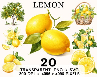 Lemon Clipart, Fruit Watercolor Lemonade Clip Art, Exotic Food Sticker Mug and Shirt Design, Digital Download, Printable PNG & SVG