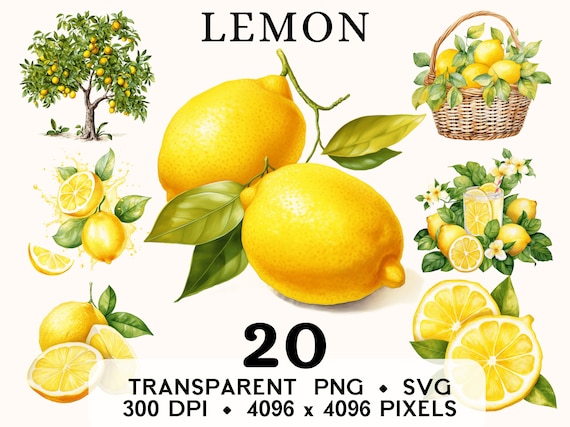 Lemon Clipart, Fruit Watercolor Lemonade Clip Art, Exotic Food Sticker Mug and Shirt Design, Digital Download, Printable PNG & SVG