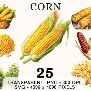 May include: A set of 25 digital illustrations of corn in various forms, including ears of corn, kernels, corn on the cob, and popcorn. The illustrations are in a watercolor style and feature a variety of colors, including yellow, green, red, and white. The text "CORN" is displayed at the top of the image.