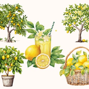 Set of 5 unique Lemon Clipart Bundle