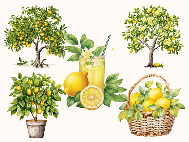 Set of 5 unique Lemon Clipart Bundle