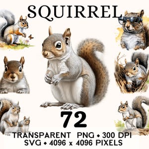 May include: Watercolor illustrations of squirrels in various poses. The image includes a central squirrel with a fluffy tail, surrounded by other squirrel images. Text at the top reads "SQUIRREL" and "72" below. Additional text indicates the image is transparent PNG, 300 DPI, SVG, and 4096 x 4096 pixels.