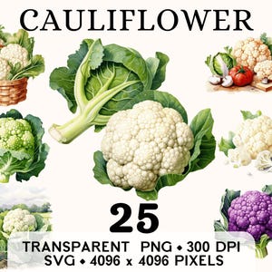 Clipart chou-fleur, aquarelle de légumes de la ferme, fleur de chou, autocollant alimentaire, tasse et chemise, téléchargement numérique imprimable PNG SVG