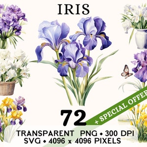 Clipart Iris, bouquet da sposa carino bandiera fiore acquerello clipart, adesivo floreale tazza e design camicia, download digitale stampabile PNG SVG