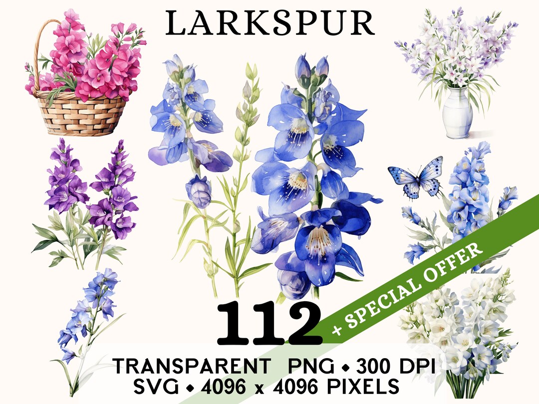 Larkspur Clipart, Cute Delphinium Flower Watercolor Clip Art, Floral ...