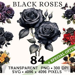 Imágenes prediseñadas de rosa negra, lindo clip art de acuarela de flor oscura gótica, diseño de taza y camisa de pegatina floral, descarga digital, PNG y SVG imprimibles