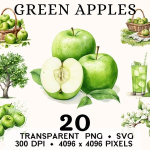 Grüner Apfel Clipart, Obst Aquarell Smith Apfel Blume ClipArt, Food Sticker Tasse und Shirt Design, Digitaler Download, druckbare PNG & SVG