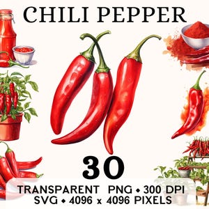 Clipart piment, aquarelle végétale épices Clip Art, conception de tasse et de chemise autocollant alimentaire, téléchargement numérique imprimable PNG & SVG