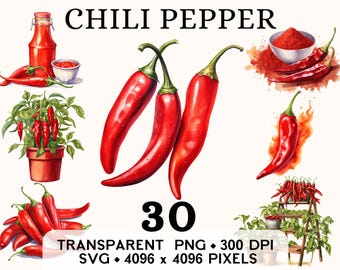 Chili Pepper Clipart, Vegetable Watercolor Hot Spices Clip Art, Food Sticker Mug and Shirt Design, Printable Digital Download PNG & SVG