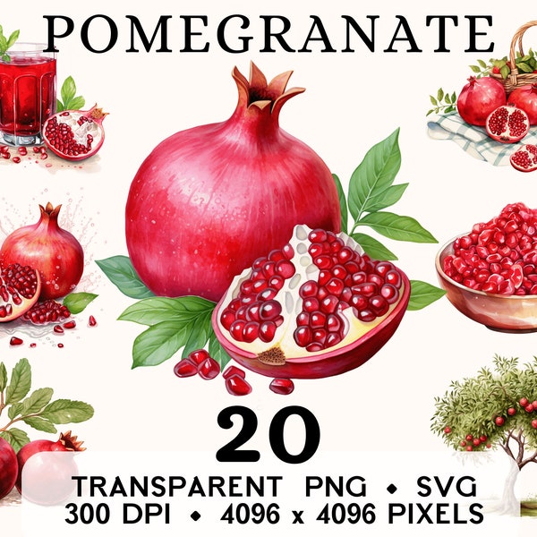 Pomegranate Clipart, Fruit Watercolor Pomegranate Clip Art, Exotic Food Sticker Mug and Shirt Design, Digital Download, Printable PNG & SVG