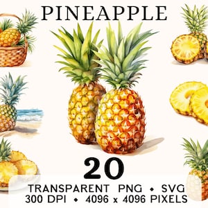 Ananas clipart, fruit aquarel ananas mand illustraties, voedsel sticker mok en shirt ontwerp, digitale download, afdrukbare PNG & SVG