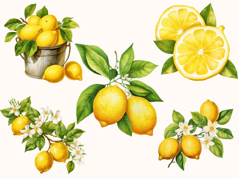 Set of 5 unique Lemon Clipart Bundle