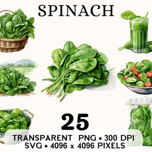 Clipart épinards, ferme feuilles légumes aquarelle vert boisson & soupe, autocollant alimentaire Mug et chemise, téléchargement numérique imprimable PNG SVG