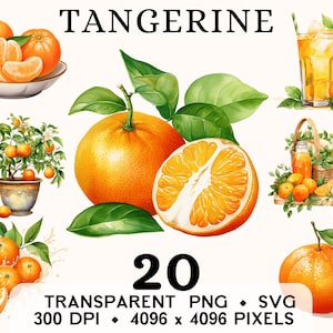Imágenes Prediseñadas de mandarina, Clip Art de clementina de acuarela de frutas, diseño de taza y camisa de pegatina de comida exótica, descarga digital, PNG y SVG imprimibles