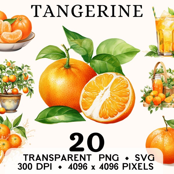 Tangerine Clipart, Fruit Watercolor Clementine Clip Art, Exotic Food Sticker Mug and Shirt Design, Digital Download, Printable PNG & SVG