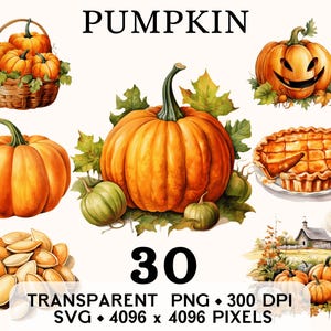 Clipart citrouille, aquarelle de légumes de la ferme pour tarte d'Halloween, clipart, autocollant alimentaire, tasse et chemise, téléchargement numérique imprimable PNG SVG