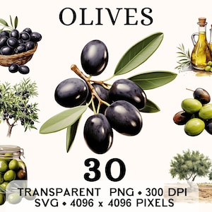 Op de afbeelding: Een digitale illustratie van olijven in verschillende vormen, waaronder een kom met olijven, een tak met olijven en bladeren, een pot met olijven en een fles olijfolie. De illustratie is in aquarelstijl en bevat de tekst "OLIVES" en "30 TRANSPARENT PNG - 300 DPI SVG - 4096 x 4096 PIXELS".