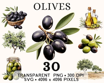 Könnte beinhalten: Eine digitale Illustration von Oliven in verschiedenen Formen, darunter eine Schale mit Oliven, ein Zweig mit Oliven und Blättern, ein Glas mit Oliven und eine Flasche Olivenöl. Die Illustration ist im Aquarellstil gehalten und enthält den Text "OLIVES" und "30 TRANSPARENT PNG - 300 DPI SVG - 4096 x 4096 PIXELS".