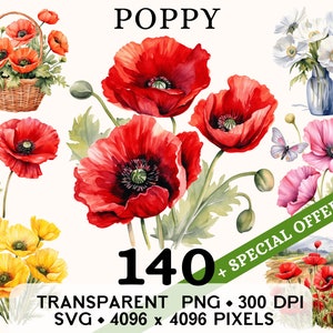 Mohnblume Clipart, niedliche Frühling rote wilde Blume Aquarell Clip Art, Blumenaufkleber Tasse und Shirt Design, druckbare digitaler Download PNG SVG