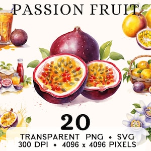 Clipart fruit de la passion, aquarelle de fruits jaune maracuja Clip Art, conception de tasse et chemise autocollant autocollant, téléchargement numérique, PNG imprimable & SVG