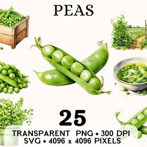 Clipart petits pois, aquarelle de légumes de la ferme pois mange-tout Clip Art, conception de tasse et chemise autocollant autocollant, téléchargement numérique, PNG imprimable & SVG