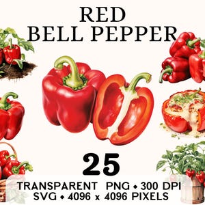 Clipart poivron rouge, clipart paprika aquarelle légumes de la ferme, conception de tasse et chemise autocollant autocollant, téléchargement numérique imprimable PNG & SVG