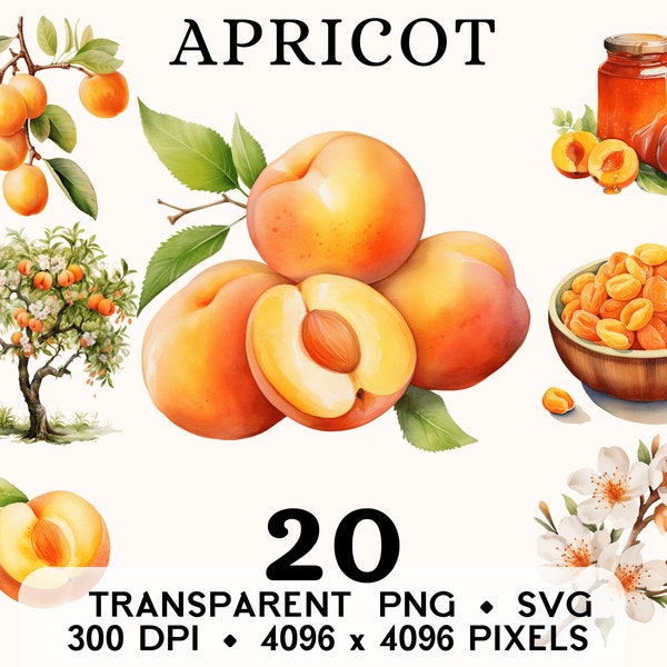 Apricot Clipart, Fruit Watercolor Apricot Basket Clip Art, Exotic Food Sticker Mug and Shirt Design, Digital Download, Printable PNG SVG