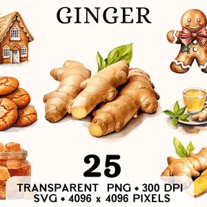Clipart gingembre, ferme légumes aquarelle bonhomme en pain d'épice Clip Art, conception de tasse autocollant nourriture et chemise, téléchargement numérique imprimable PNG & SVG